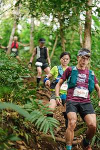 BIB: 310, 5619, 
                            <button type="button" onclick="openModal(22509602)" class="btn btn-primary btn-sm float-right btn-popup" data-toggle="modal" data-target=".modal-high-quality">
                        <i class="fas fa-shopping-cart"></i> Add to Cart
                    </button>
                                            <button type="button" onclick="isThisMe(22509602, true)" class="btn btn-success btn-sm float-right btn-popup btn-isme hidden" data-toggle="tooltip" data-placement="bottom" title="นี่คือรูปของคุณใช่ไหม คลิกที่นี่เพื่อเอาเข้าอัลบั้ม">
                        <i class="fas fa-plus"></i> Add to album
                    </button>
                    <button type="button" onclick="isThisMe(22509602, false)" class="btn btn-warning btn-sm float-right btn-popup btn-isnotme hidden">
                        <i class="fas fa-ban"></i> Remove from album
                    </button>